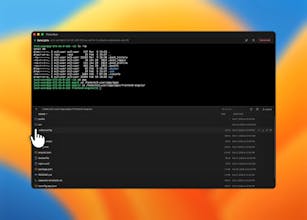 Pluto Door gallery image
