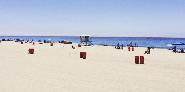 Pascal Jaillon cover