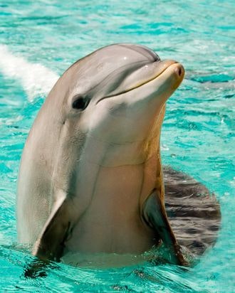 Meat Your Hero gallery image