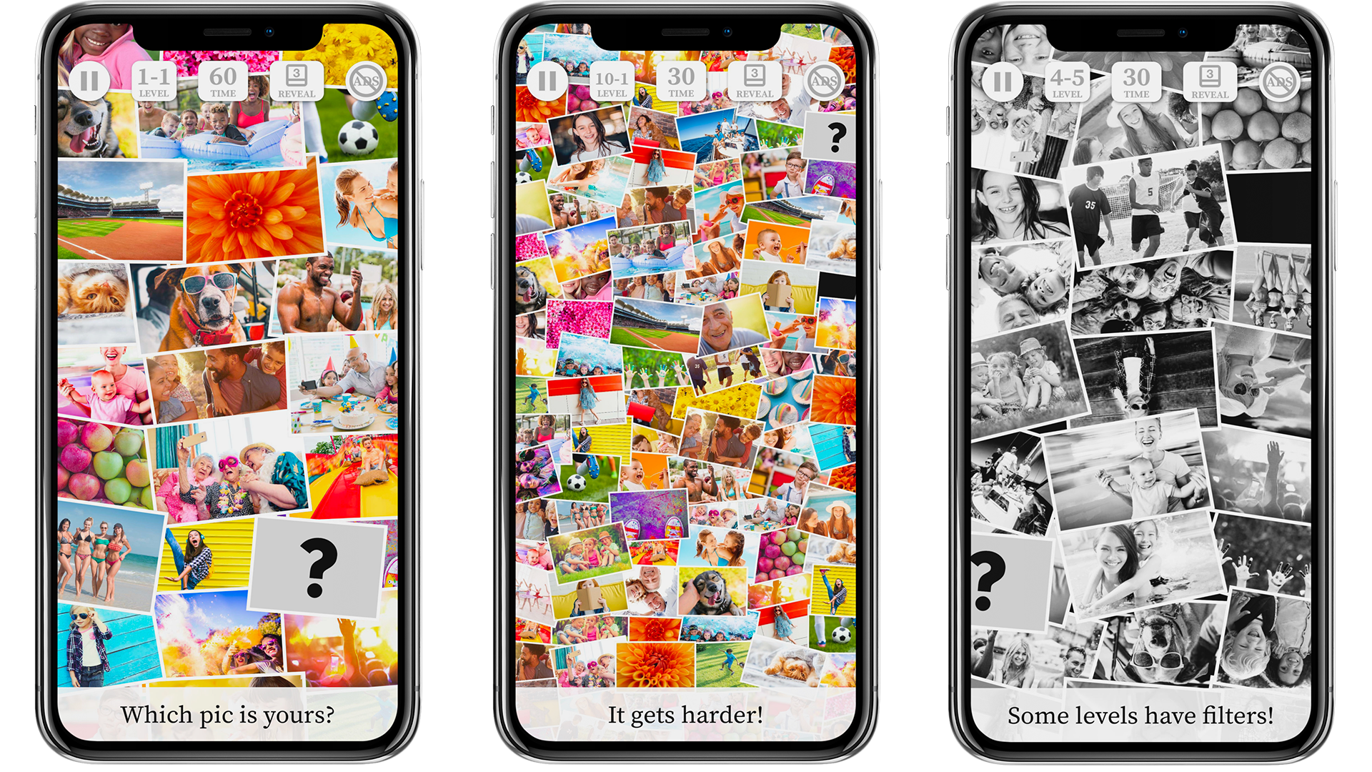 WhichPic? gallery image