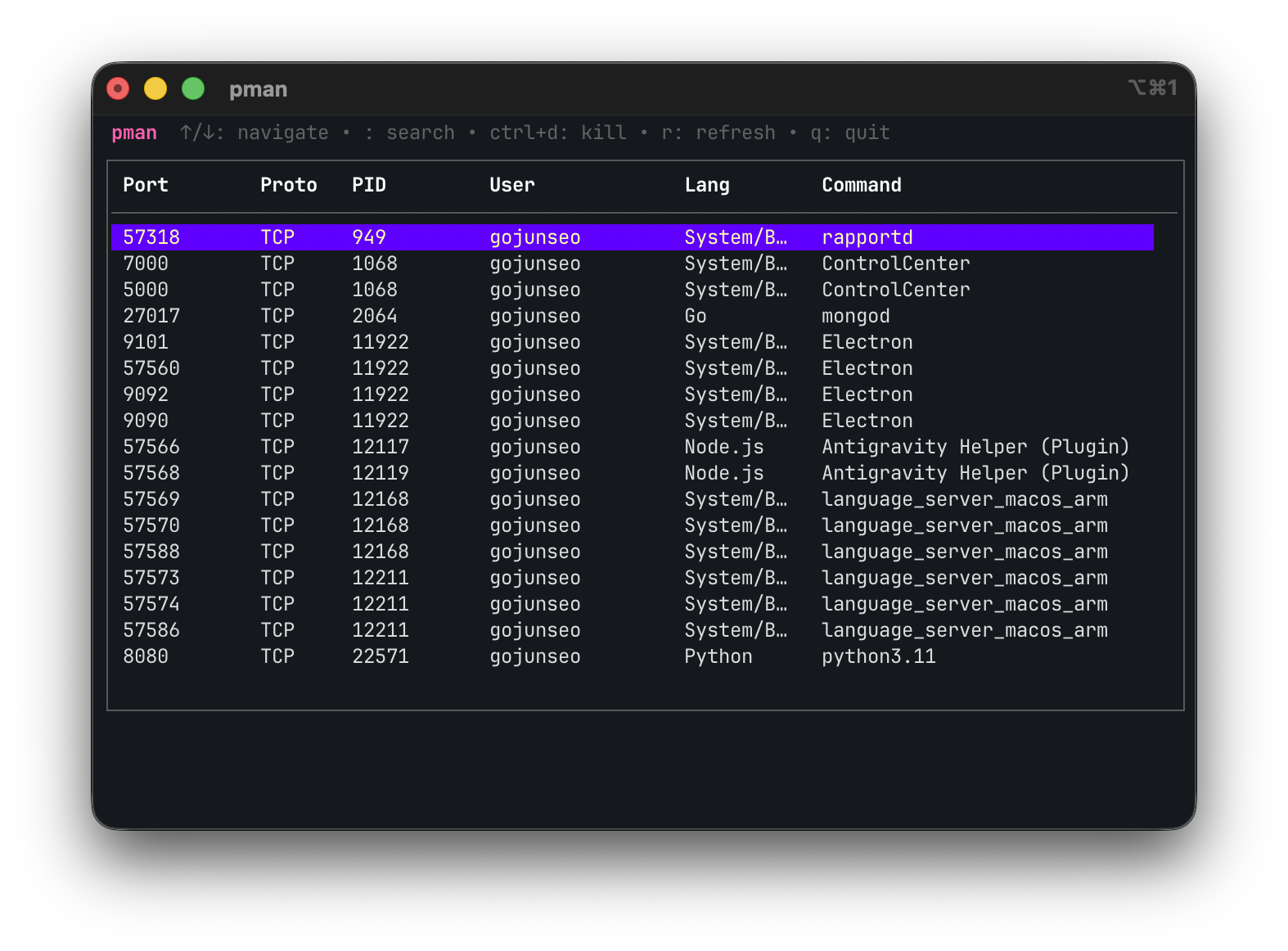 pman - Main product screenshot demonstrating key features and user interface