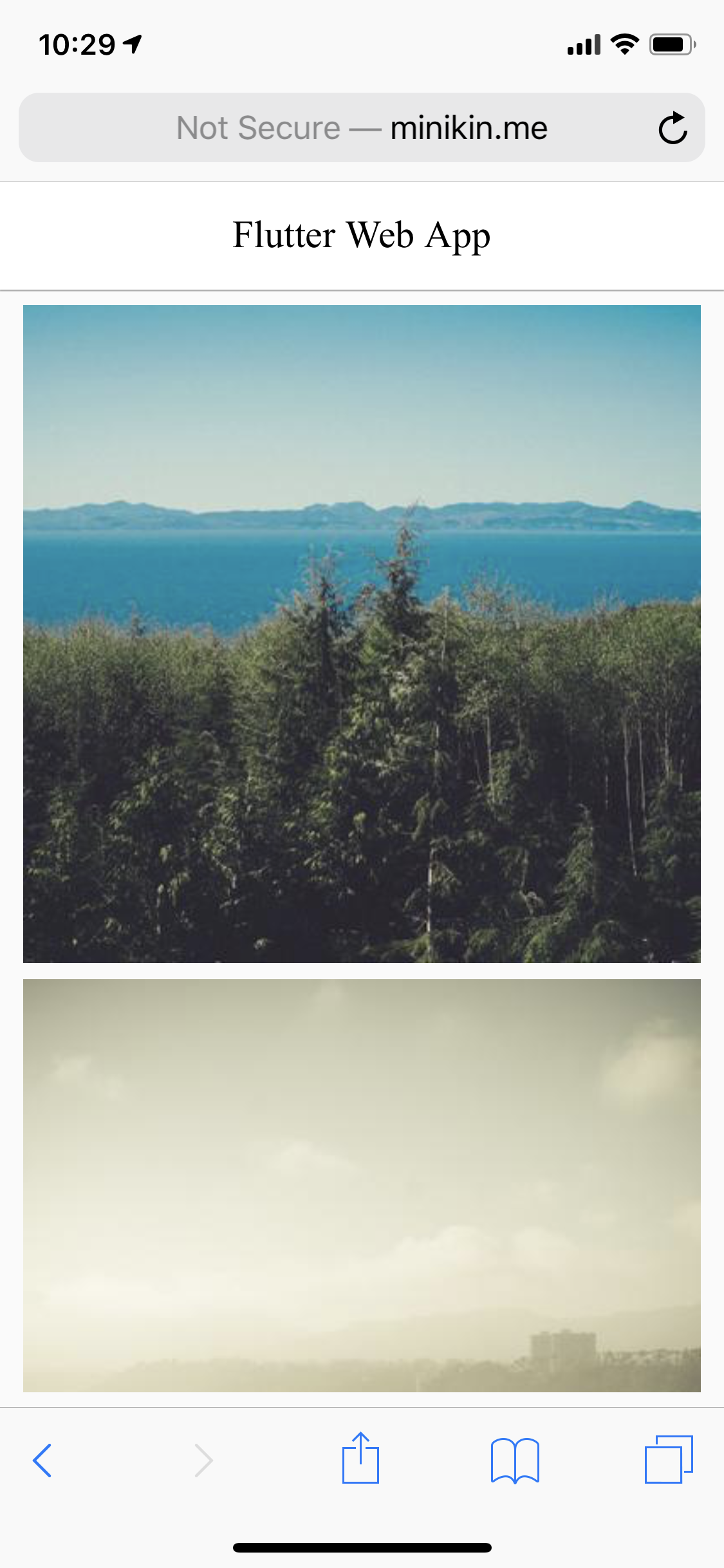 Web application with Flutter and Dart gallery image