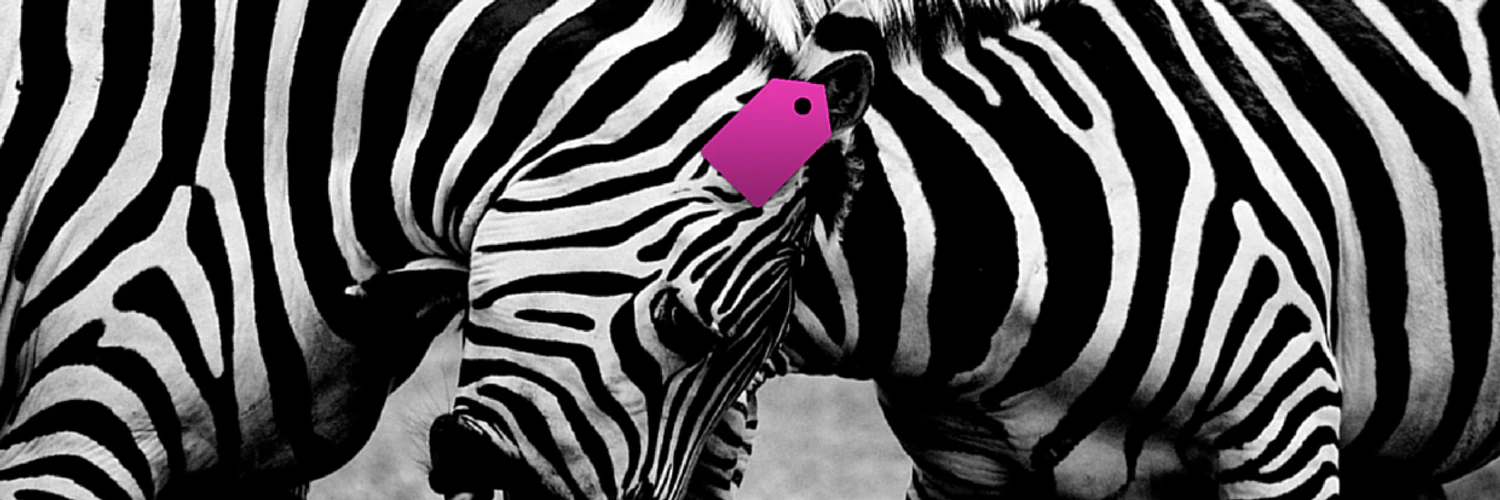 Kristin Drysdale cover