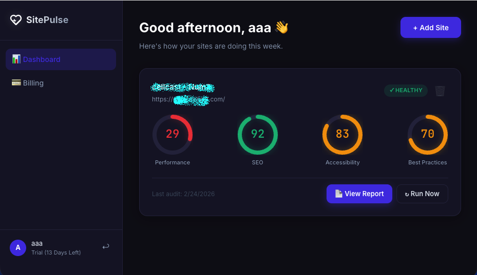 SitePulse - Main product screenshot demonstrating key features and user interface