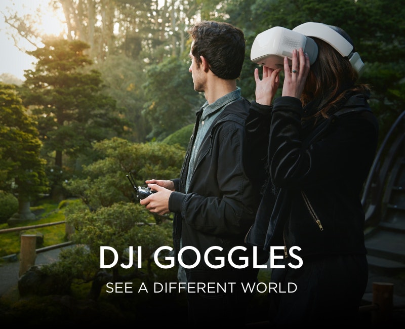 DJI Goggles Image