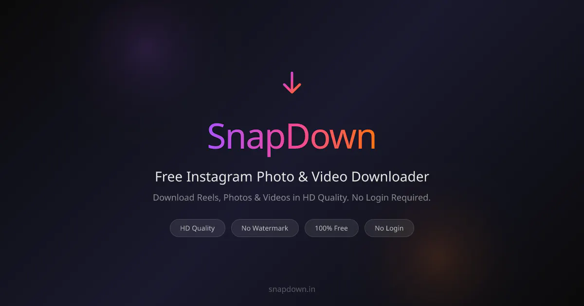 SnapDown 제품 배너
