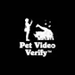 Pet Video Verify