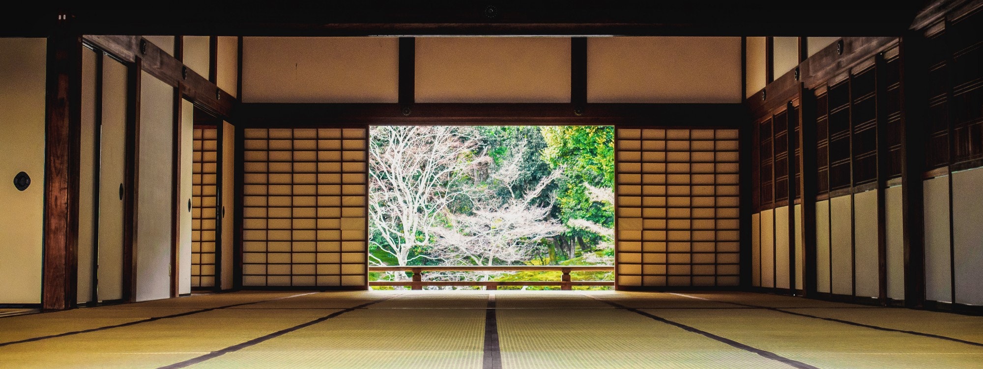 IndieDojo gallery image