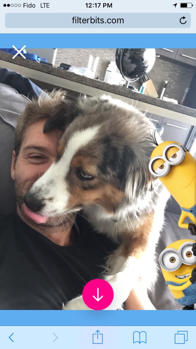 Filterbits gallery image