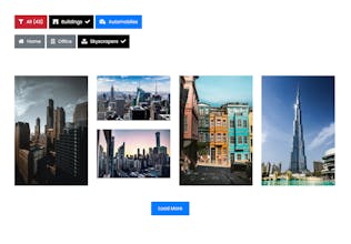 Filter Gallery Pro gallery image
