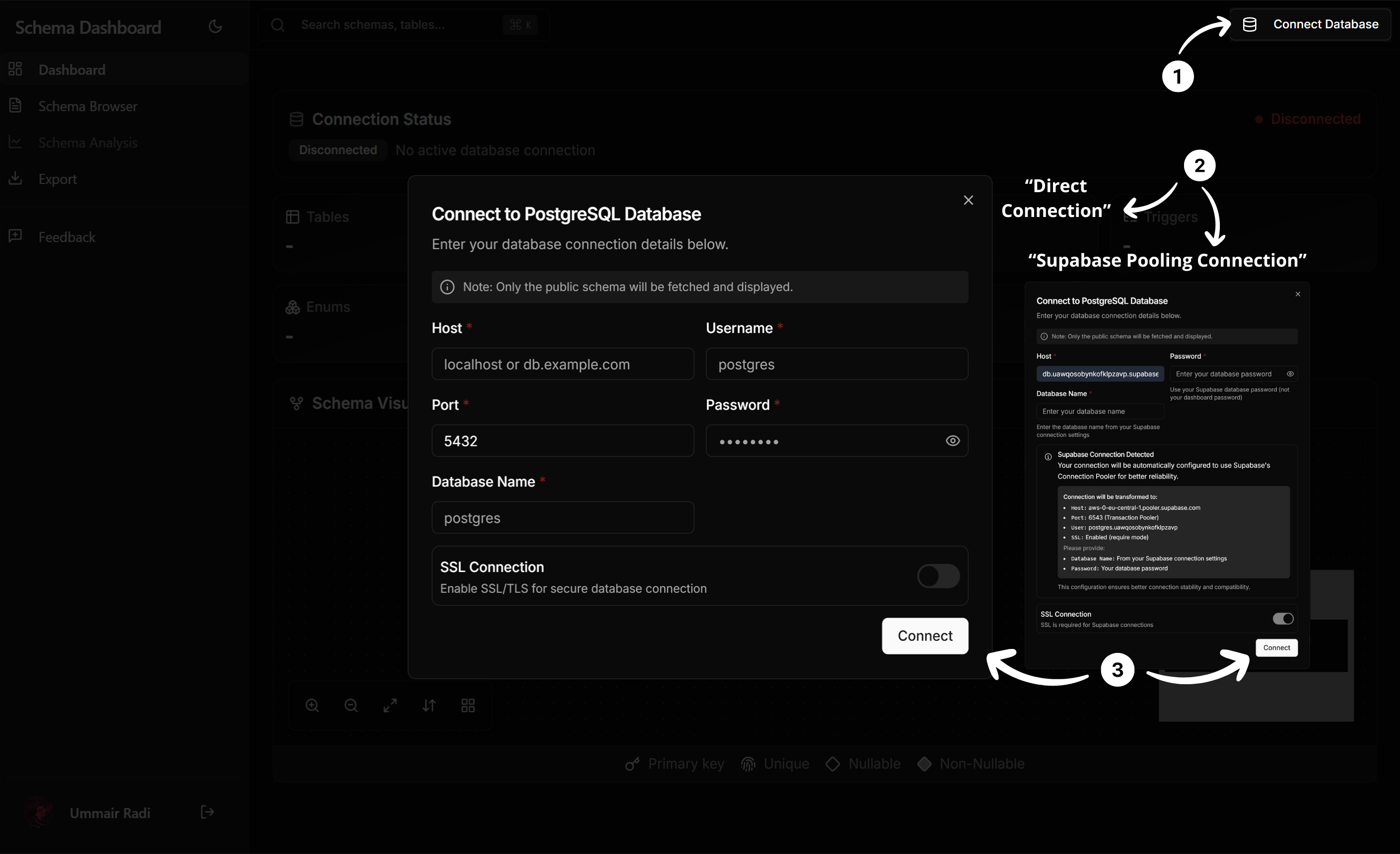 SchemaFlow media 2