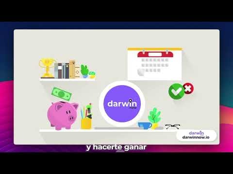 Darwin Now gallery image