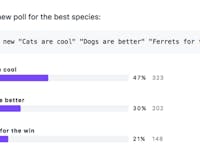 GitHub Polls media 2