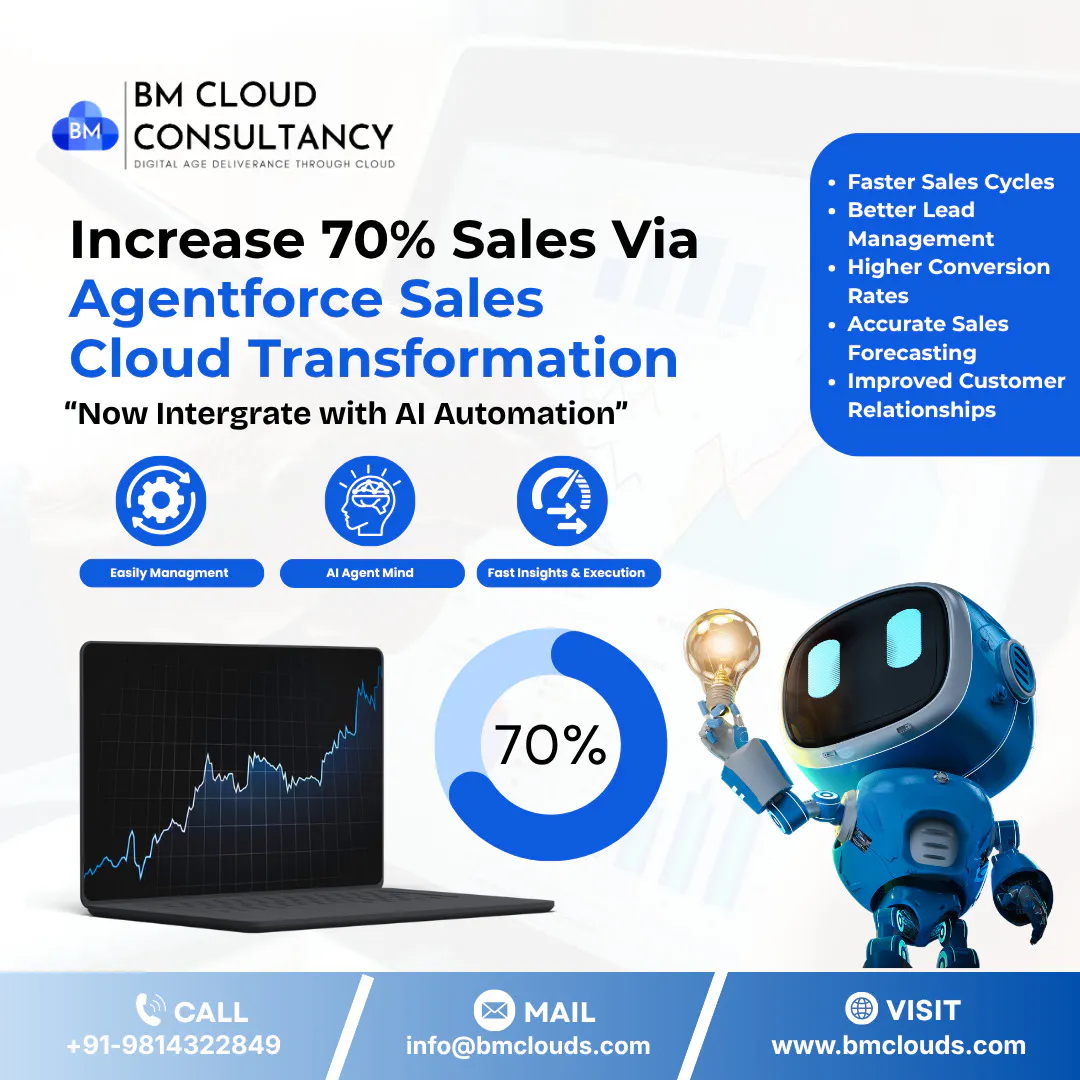 BM Cloud Consultancy - Salesforce Expert gallery image
