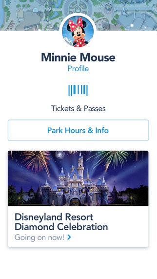 Disneyland gallery image