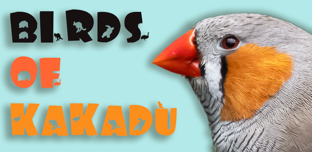 Birds of Kakadu Australia Northern Side gallery image