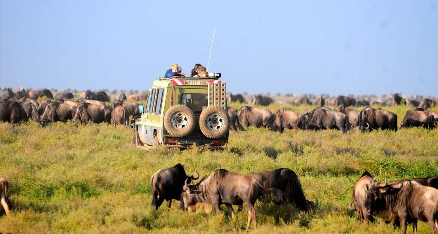 Africantrust Safari gallery image