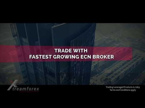 XTREAMFOREX - TRADE FOREX ON MT4 AND MT5 gallery image