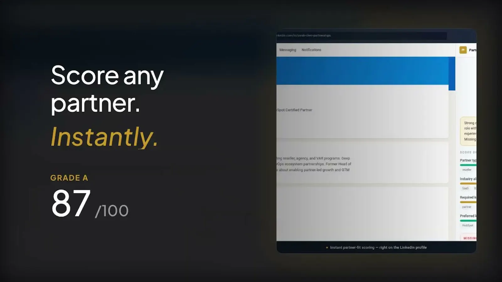 Partner-Fit-Scorer screenshot 1 (video preview)