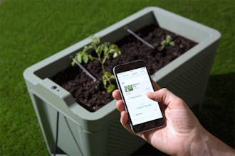 hellogrow gallery image