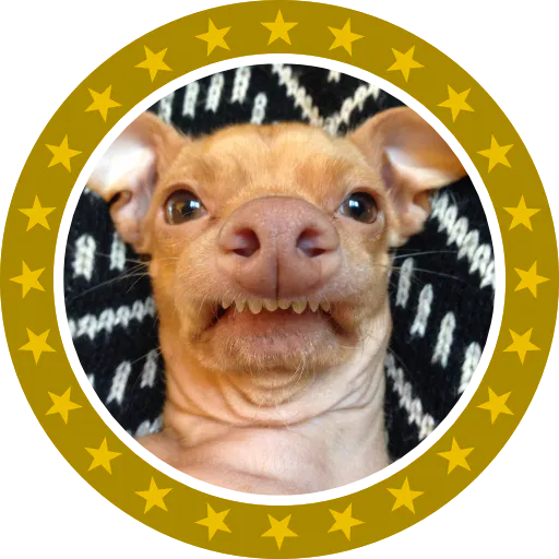 Phteven