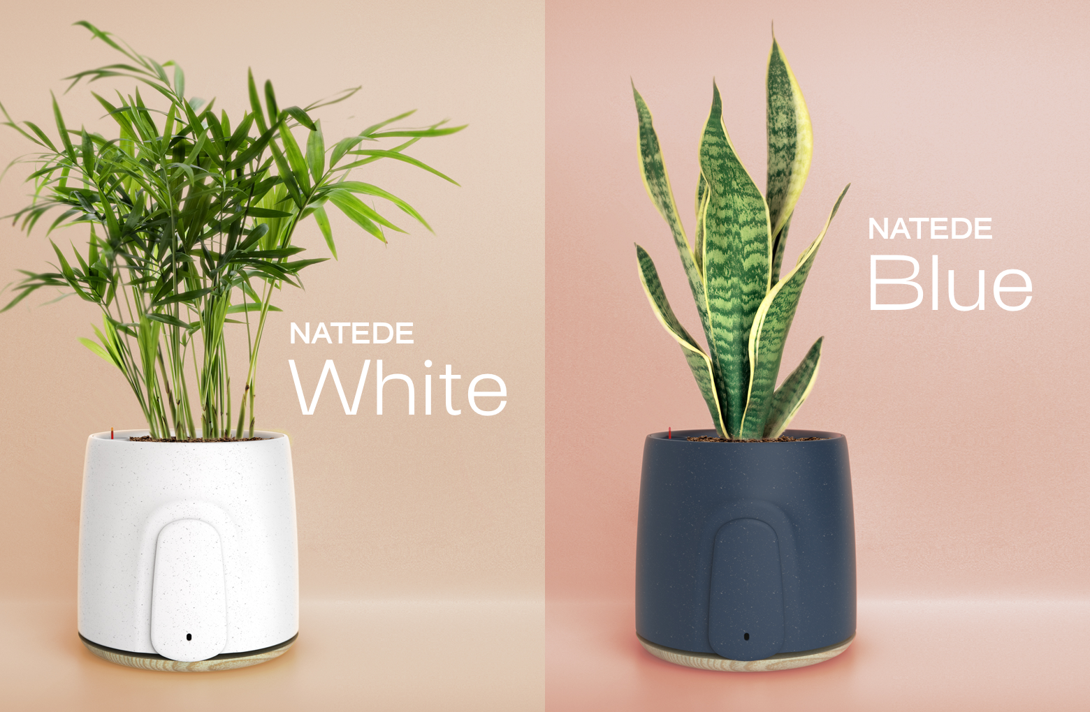 NATEDE gallery image