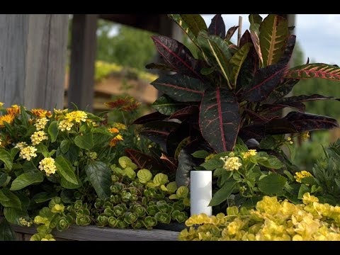 Plant Link gallery image