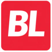 BriefLedger