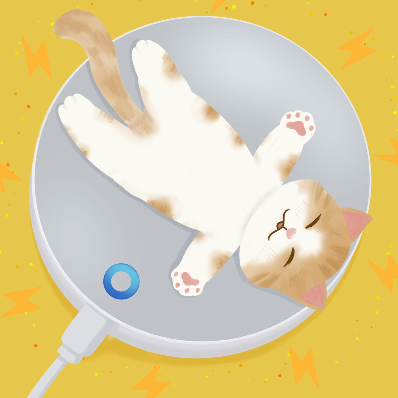 Tang Ping Cat - Memecoin Project media 24