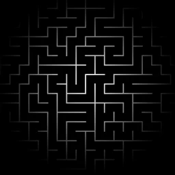 The hardest maze