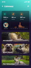 Woofbuzz gallery image