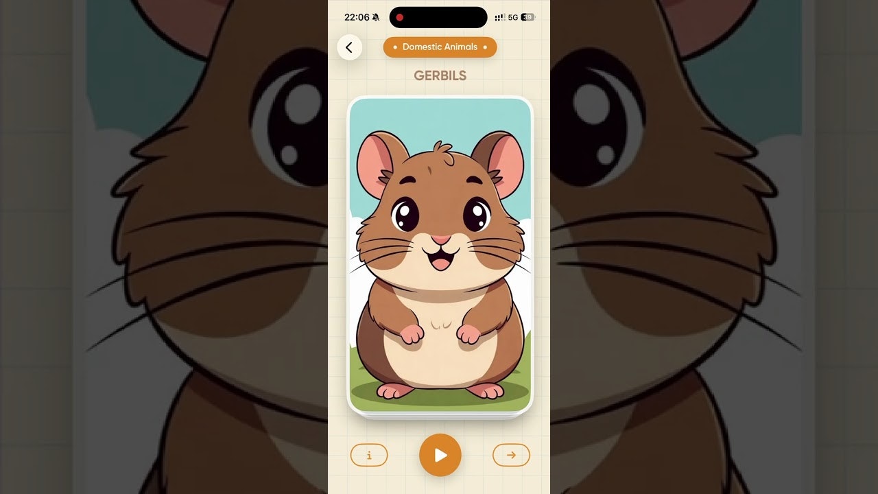 Meok: Animals for Kids media 1