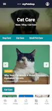 Pets Corner gallery image