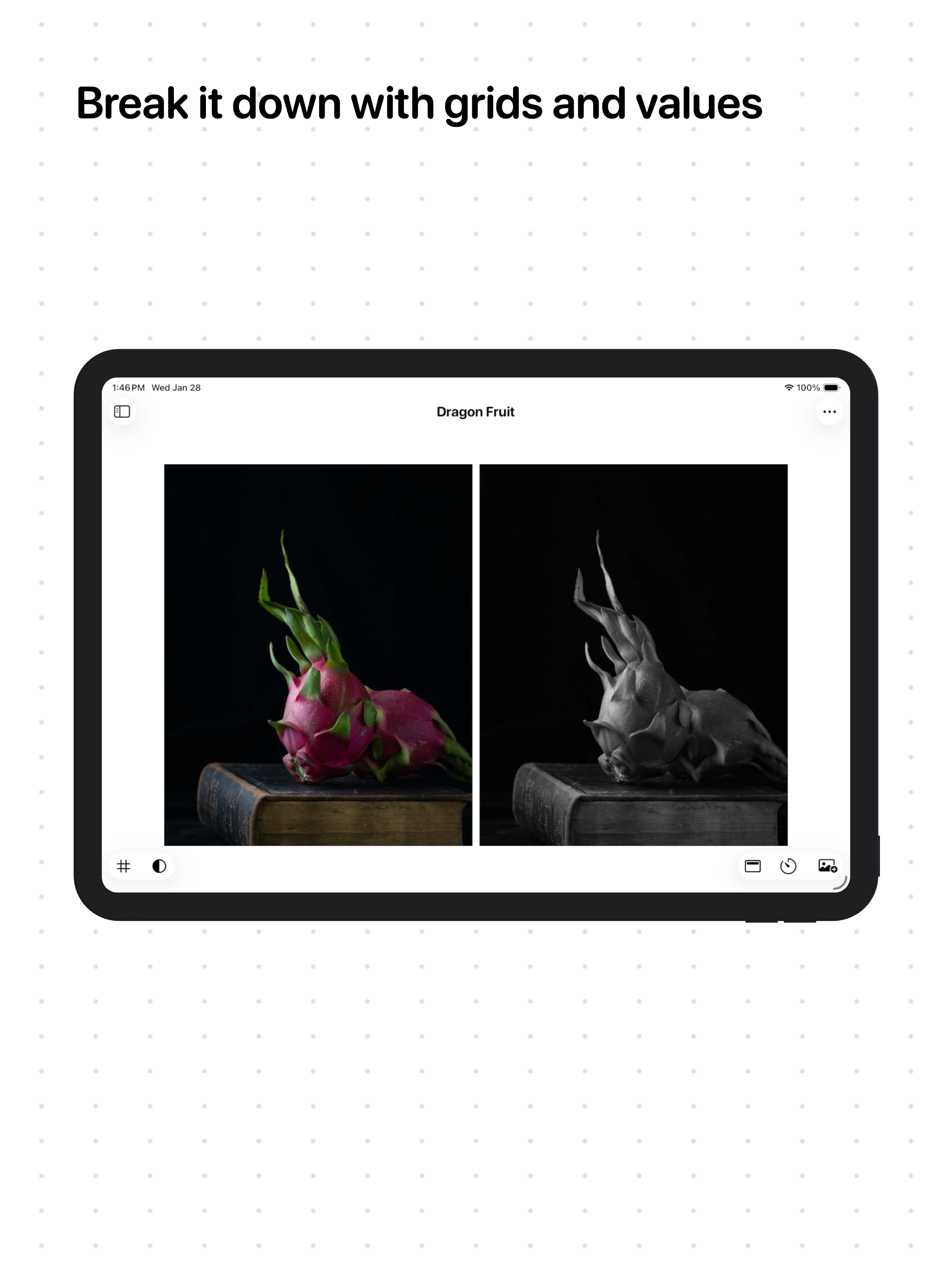 Artist Reference & Value Study gallery image