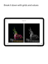 Artist Reference & Value Study gallery image