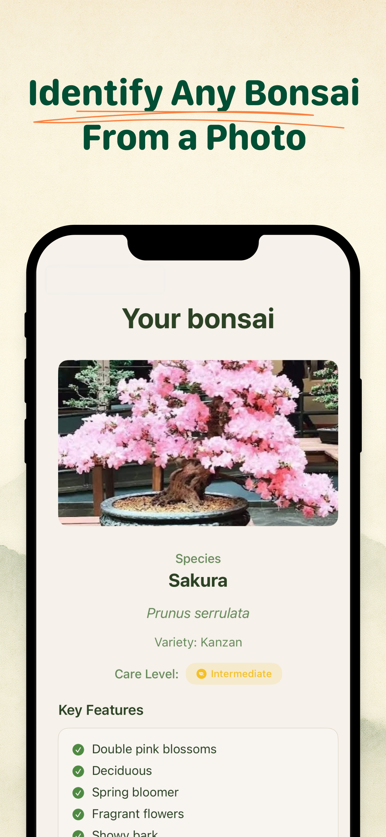 Bonsai Buddy gallery image