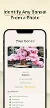 Bonsai Buddy gallery image