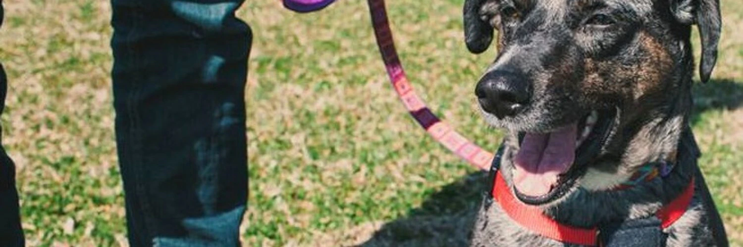 Macklin Andrick cover