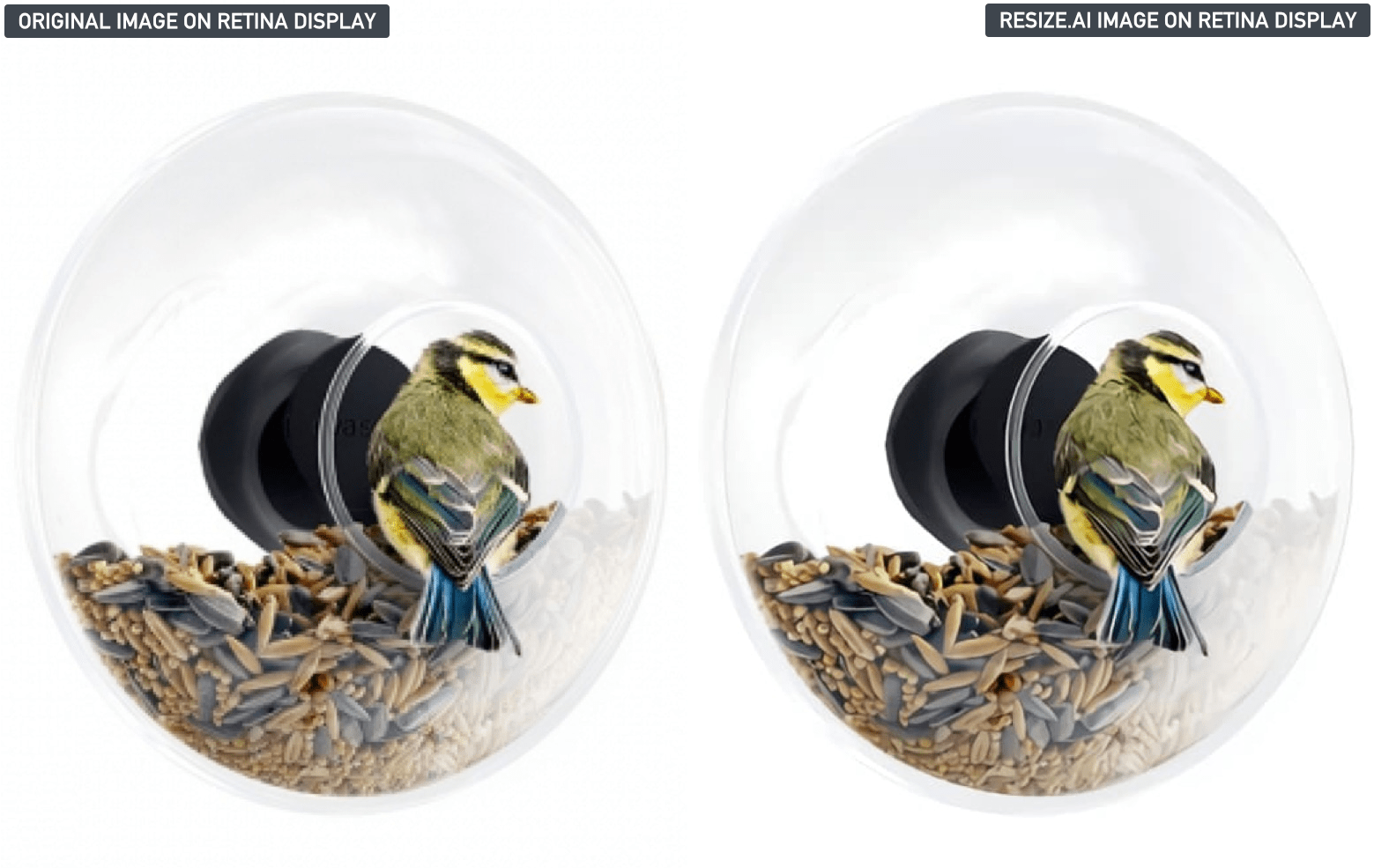 Resize.ai gallery image