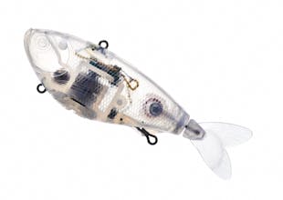 eMinnow gallery image