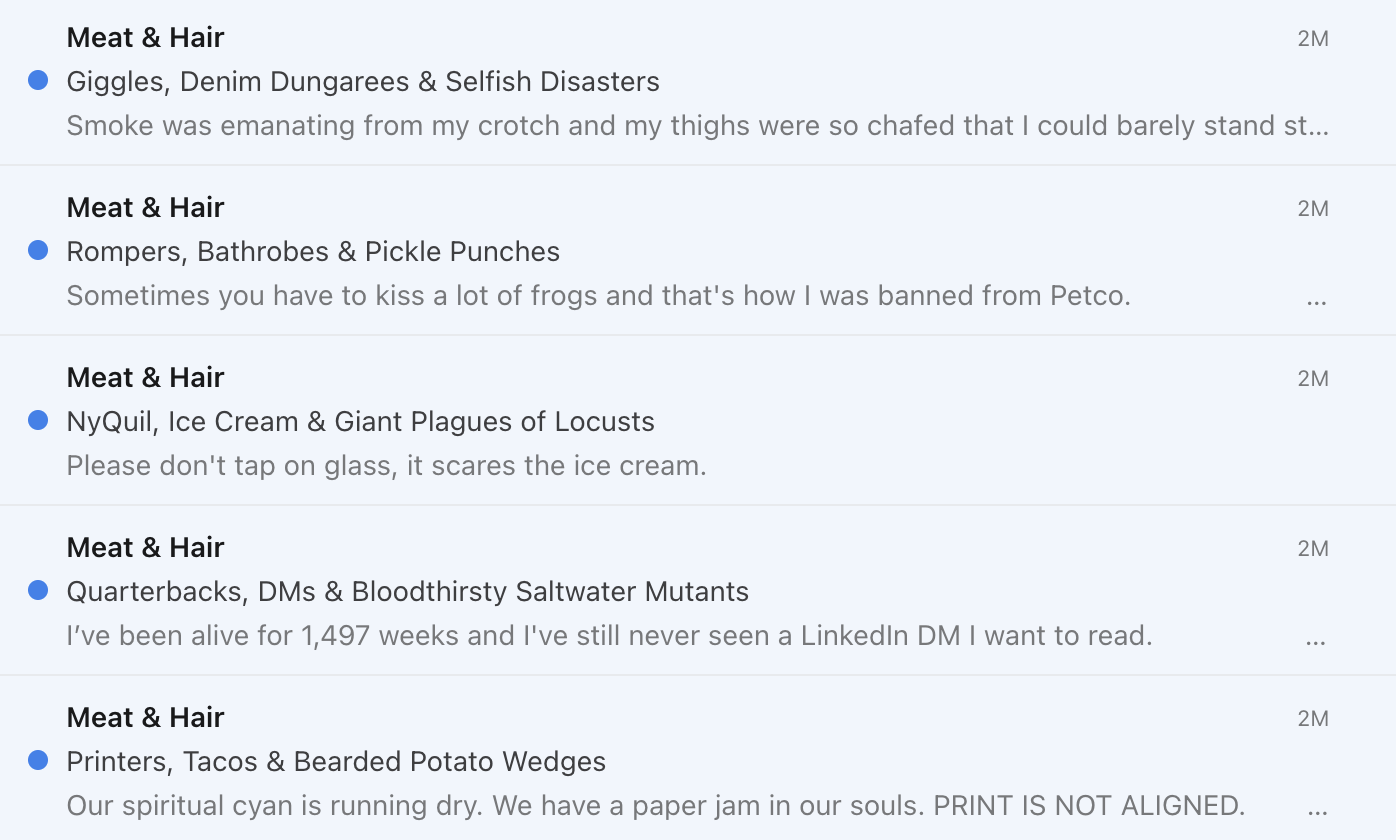 Meat & Hair Creative Writing Newsletter gallery image