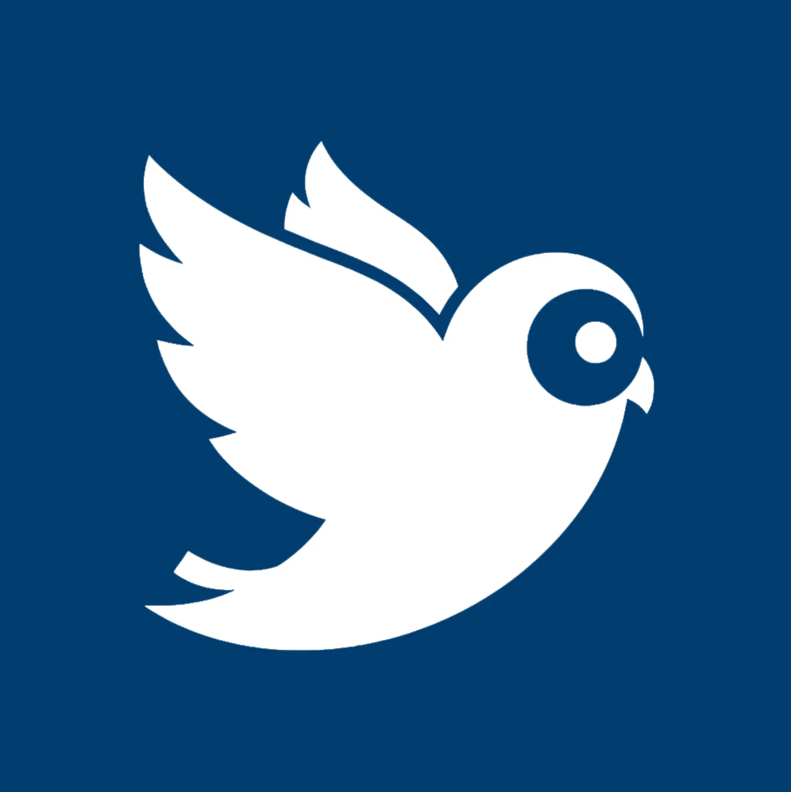 HootBiz