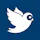 HootBiz