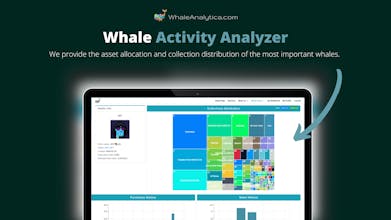 Whale Analytica gallery image