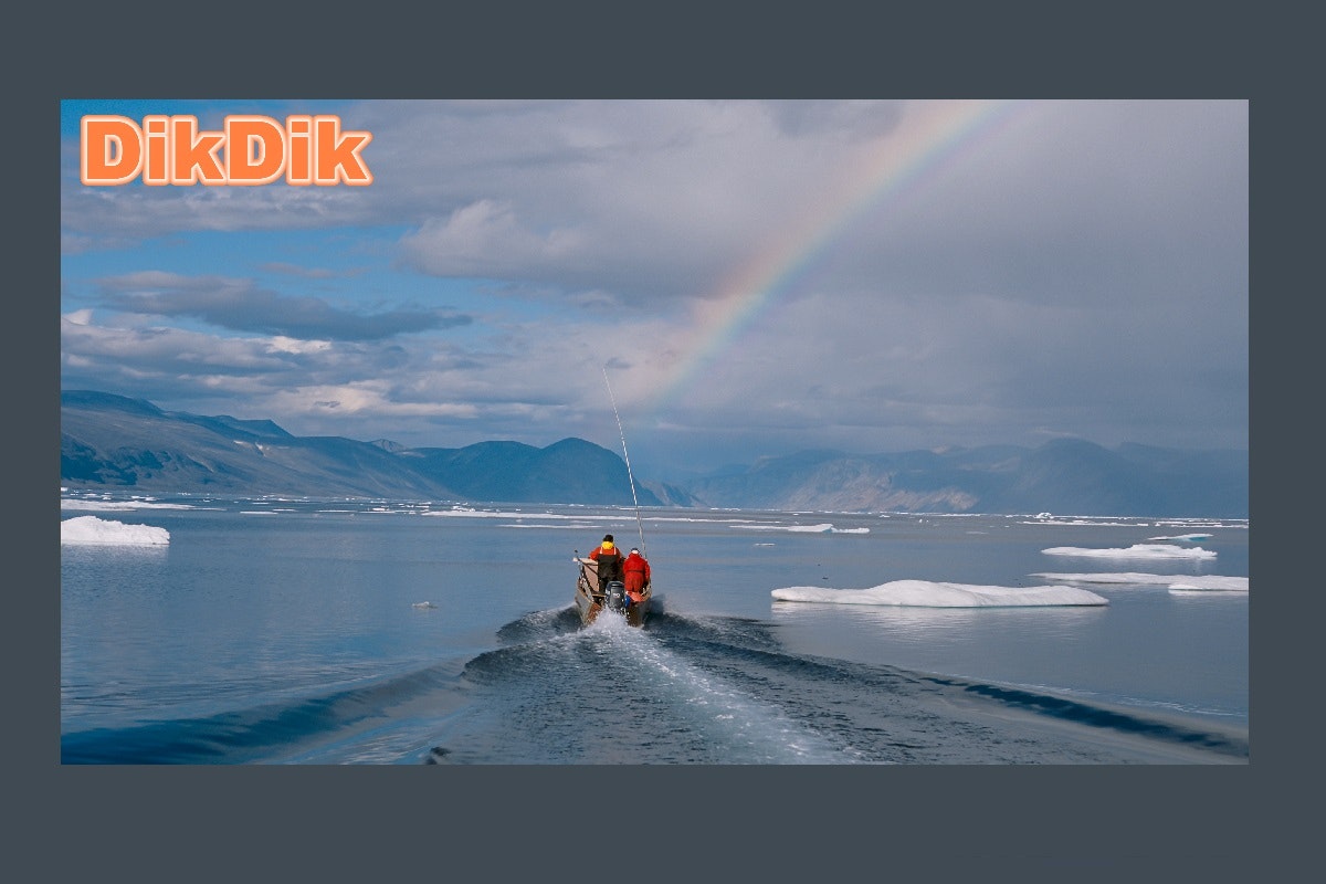 DikDik 4.6.0.0 gallery image