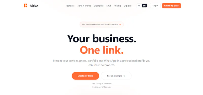 Bizko screenshot 1