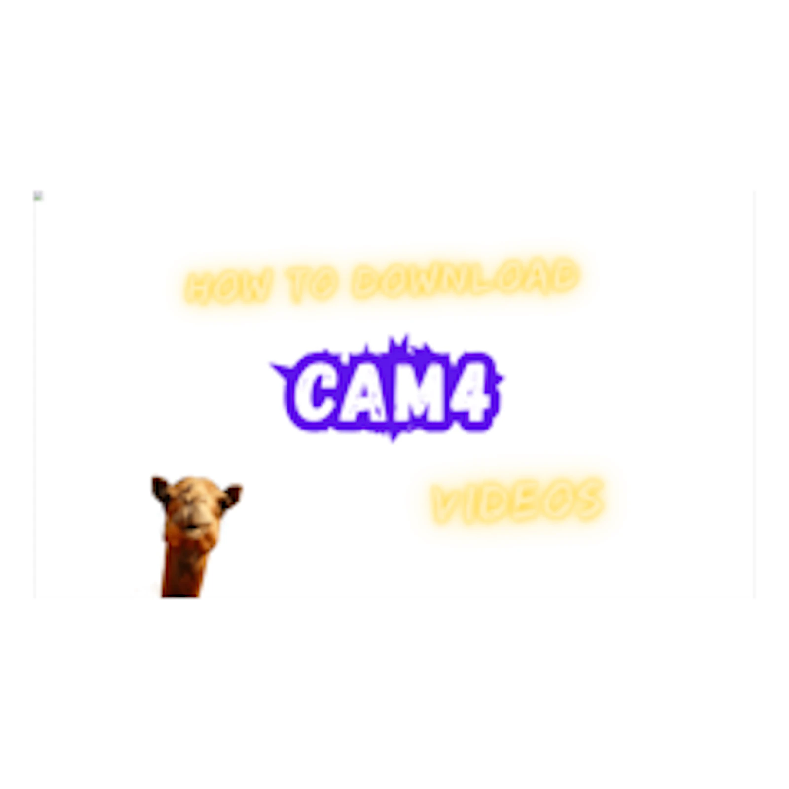 Cam4 Video Downloader screenshot 1
