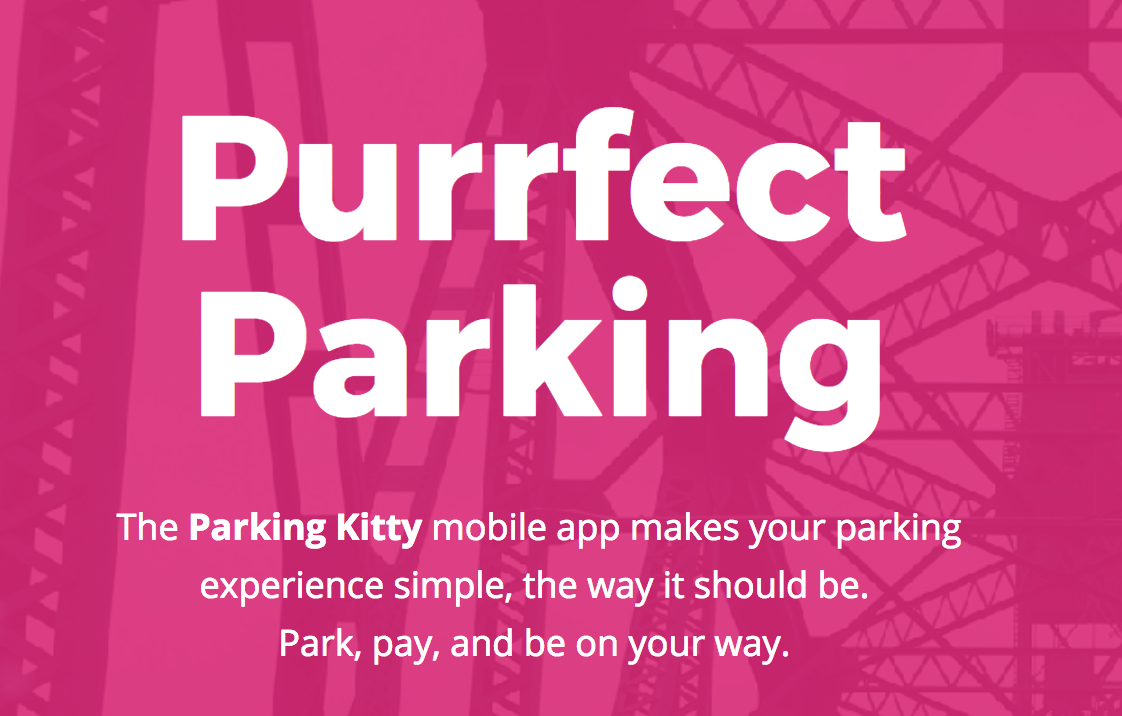 Parking Kitty gallery image