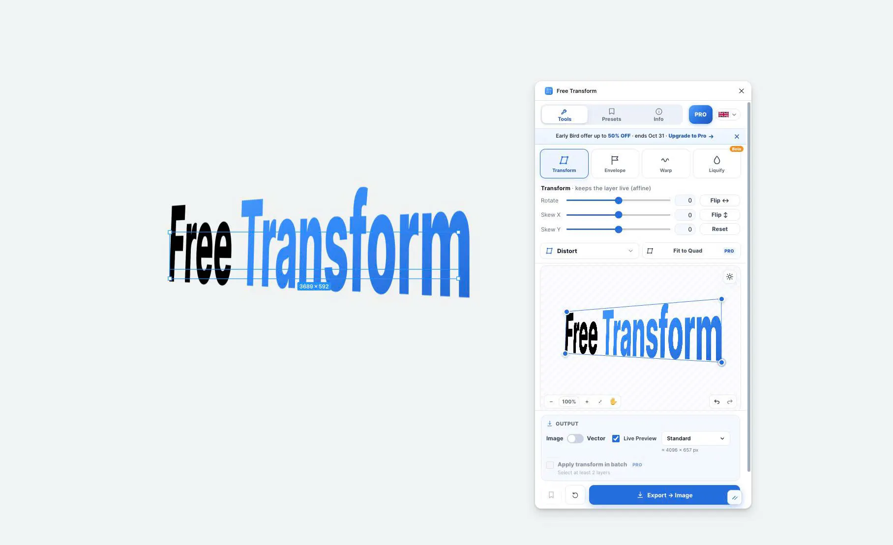 Free Transform gallery image