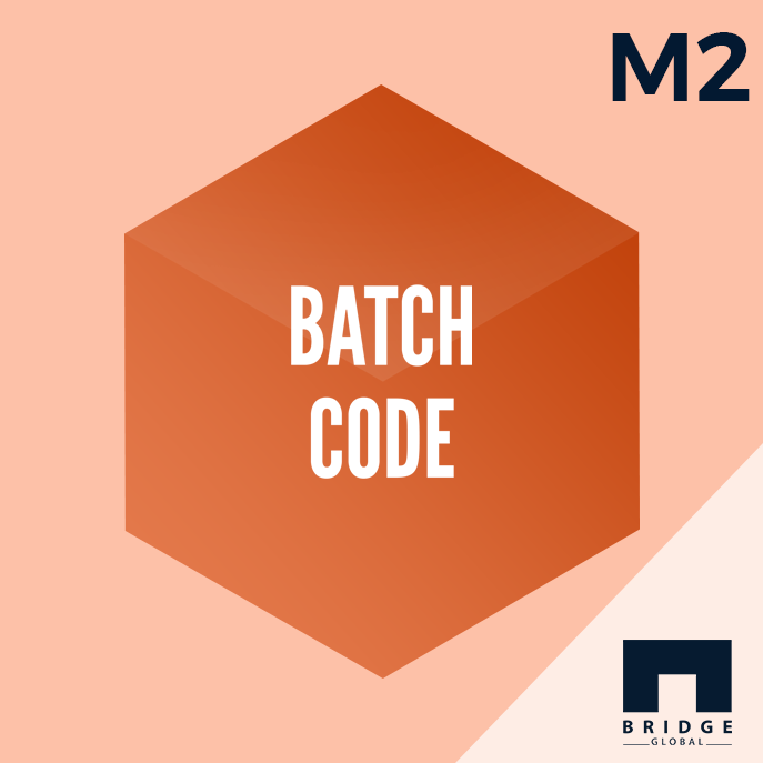 Magento 2 Batch Code Extension